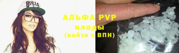 гидра Верхний Тагил