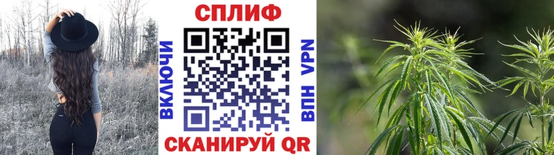 МАРИХУАНА White Widow Купить где Ленинск-Кузнецкий